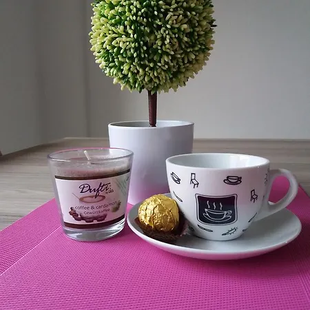 Bandovic Guest house